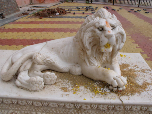 Karni Mata Rat Temple, Deshnok, Bikaner, Rajasthan, India, 12 agosto 2011: I fedeli mettono il riso nella bocca di un leone di marmo all'ingresso del Tempio Karni Mata Rat a Deshnok, India - Foto, immagini