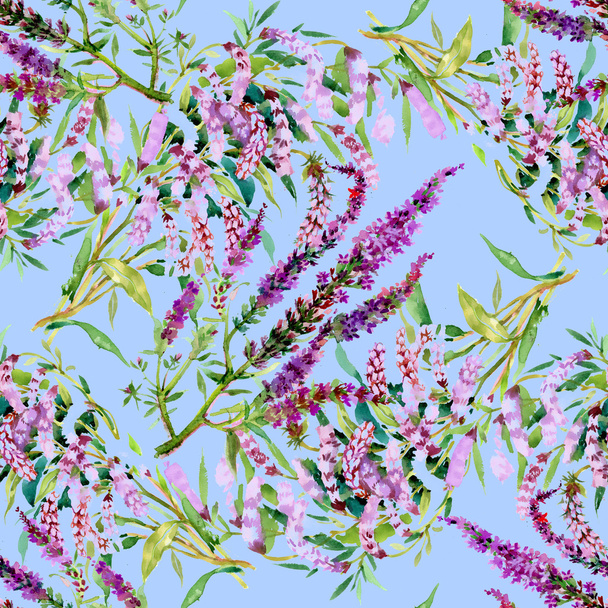 Watercolor violet field flower texture - Foto, immagini