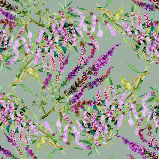 Watercolor violet field flower texture - Фото, изображение