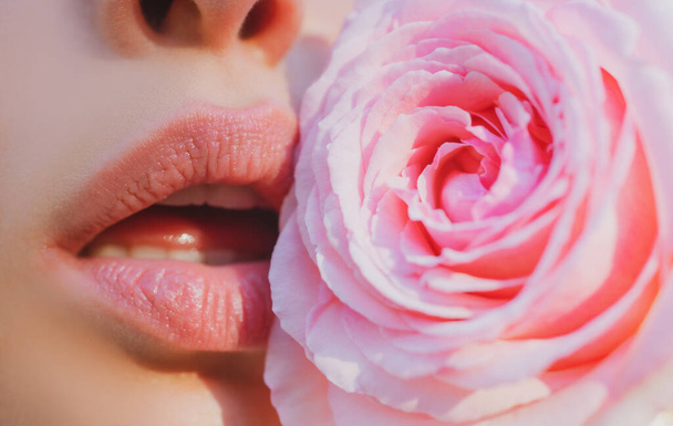 Lips with lipstick closeup. Tenderness pink rose. Lips care. Tenderness womans lips with pink rose. Tenderness woman. Concept of caring and tenderness. Woman mouth with a rose. - 写真・画像