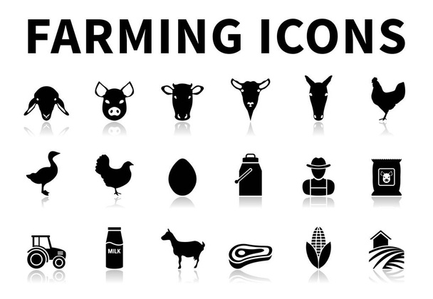 Icona di allevamento in bianco e nero Set di pecore, maiale, mucca, capra, cavallo, gallo, oca, pollo, uovo, latte, agricoltore, concentrato, trattore, bottiglia, animale, carne, foraggio e icone di fattoria con riflessione - Vettoriali, immagini