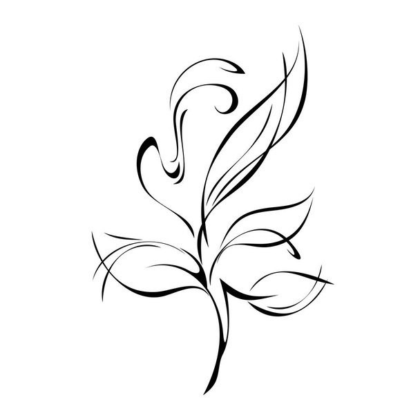 stylized twig with leaves and curls in black lines on a white background - Vector, Imagen
