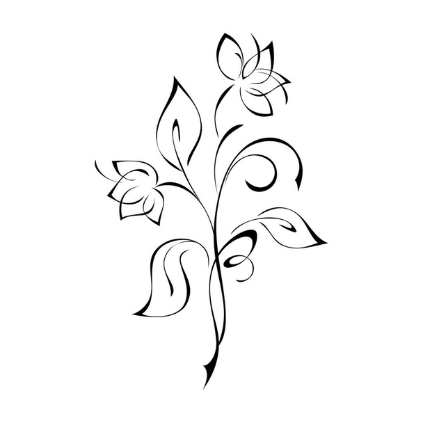 two flower buds on a stem with leaves and curls in black lines on a white background - Vector, afbeelding
