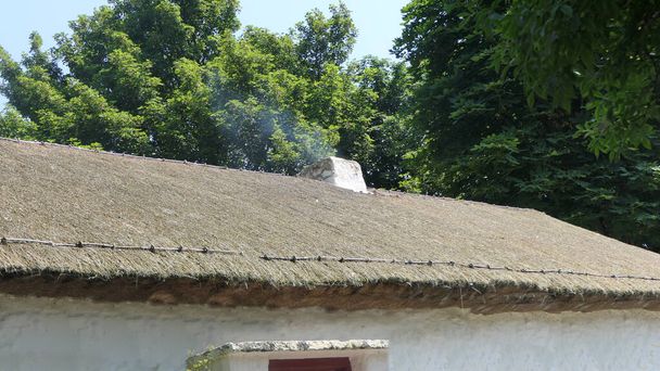 アイルランドの農場に茅葺き屋根の古いアイルランドの伝統的な白塗りのコテージ - 写真・画像