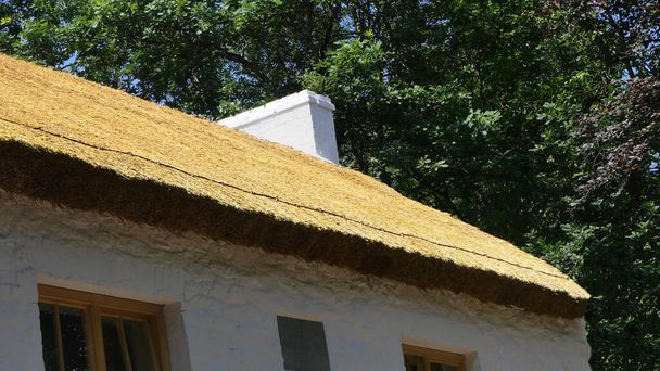Antigua casa de campo tradicional irlandesa con techo de paja en una granja en Irlanda - Foto, imagen