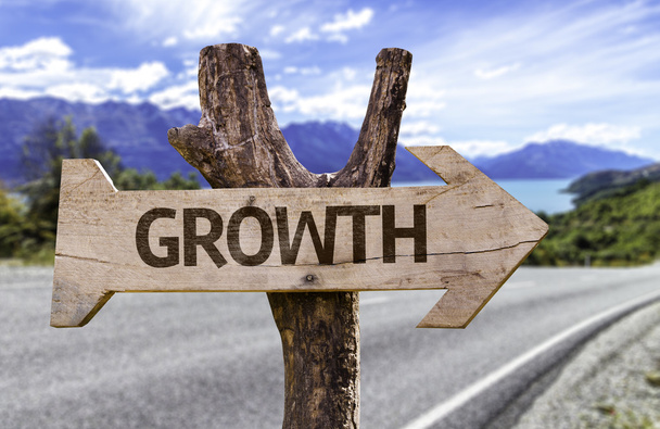 Growth  wooden sign - Photo, Image