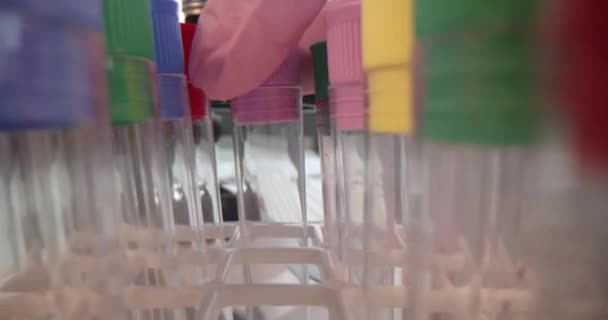 Chemische hand nemen van reageerbuizen met vloeistof in laboratorium closeup 4k film - Video