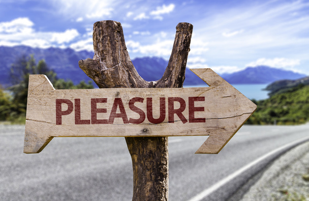 Pleasure wooden sign - Photo, Image
