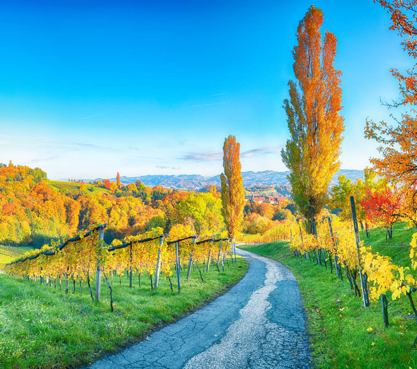Breathtaking vineyards landscape in South Styria near Gamlitz. Autumn scene of grape hills in popular travell destination Eckberg. Location: Gamlitz, district of Leibnitz in Styria, Austria. Europe. - Zdjęcie, obraz