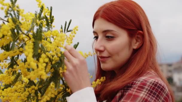 Jeune fille célèbre la journée des femmes avec des fleurs de mimosa jaune à la main  - Séquence, vidéo