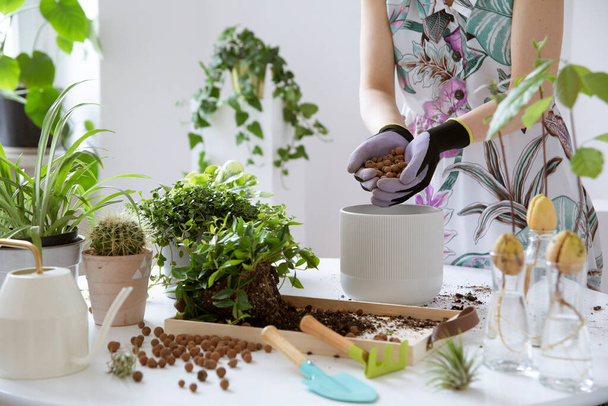 Young woman gardener takes care of green plants in stylish marble ceramic pots Plants love. Concept of home garden. Spring time. Stylish interior with a lot of plants. Template. - 写真・画像