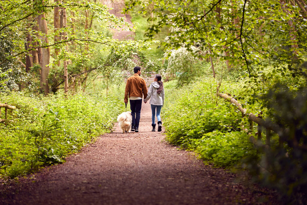 Rear View Of Couple With Pet Dog Walking Along Path Through Trees In Countryside - Foto, immagini