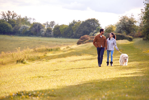 Couple With Pet Golden Retriever Dog Walking Along Path Across Field In Countryside - Valokuva, kuva
