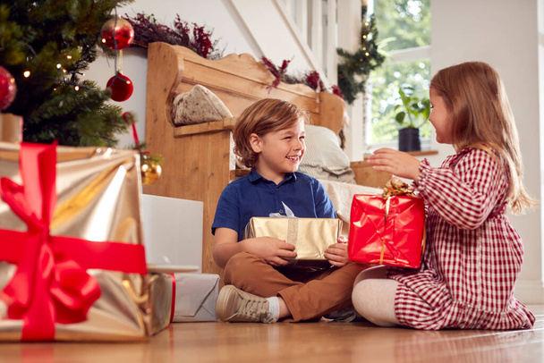 Deux enfants excités tremblant et se sentant présents sous l'arbre de Noël à la maison - Photo, image