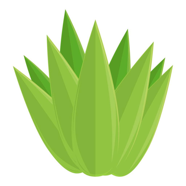 Tequila cactus icon cartoon vector. Glass shot - Vector, Image