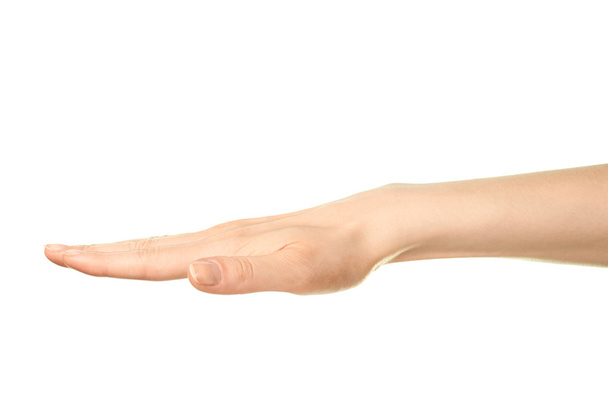 Gesture of opened palm - Фото, зображення