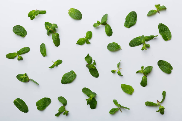 Hojas de menta verde fresca sobre fondo blanco, patrón de hojas de menta Vista superior con espacio para copiar. - Foto, Imagen