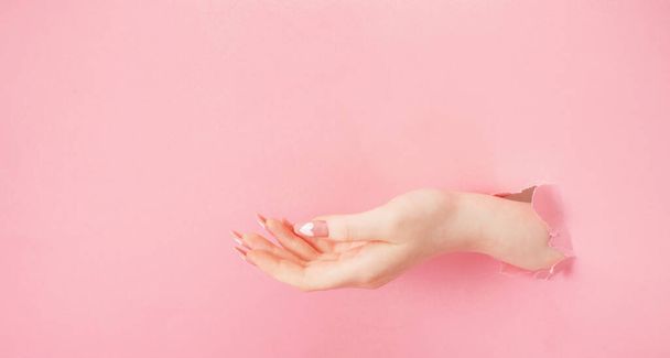 female hands with beautiful long nails with  manicure  on pink paper  background - Fotoğraf, Görsel
