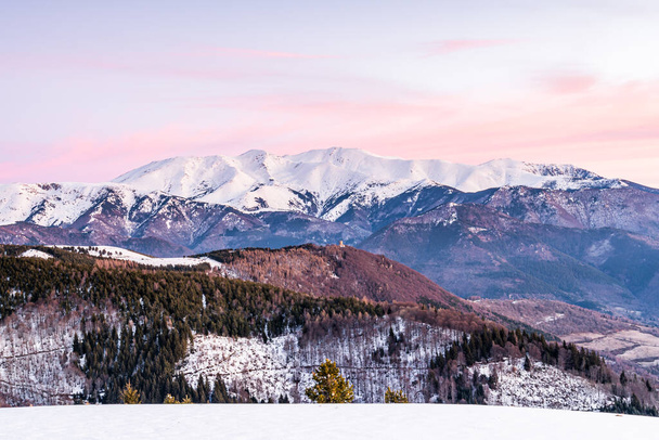Sunrise in the snow mountains (Peak of Canigou, France Pyrenees, France) - 写真・画像