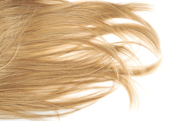 Hair fragment - Photo, Image