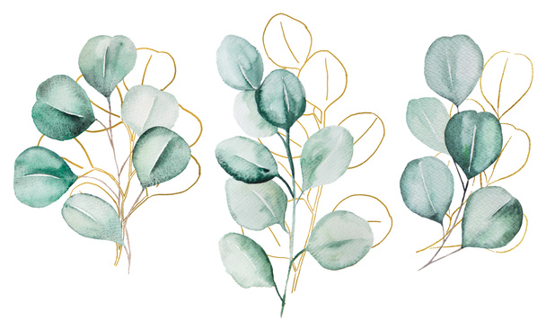 Yeşil ve Altın suluboya okaliptüs botanik yapraklar çizimi. Düğün tasarımı için zarif elementler, tebrik kartları ve el işi, metin için yer - Fotoğraf, Görsel