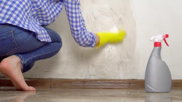 biondo, lava parete bianca in appartamento con schiuma, spugne in guanti gialli - Filmati, video