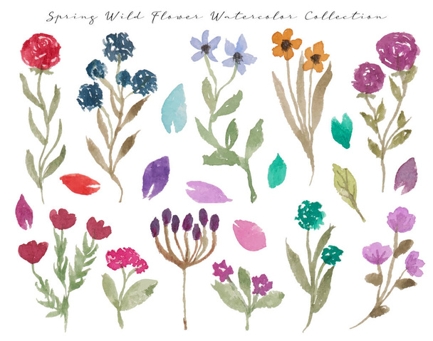 conjunto de lindo dibujado a mano primavera flores silvestres acuarela en formato EPS con 300 dpi - Vector, imagen