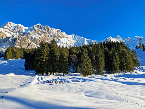 Viehättävä katokset Alppien tyypillisessä talvella ilmakehässä jälkeen raskas lumisade Sveitsin Alpeilla, Schwaegalp vuoristosolassa - Canton of Appenzell Ausserrhoden, Sveitsi (Schweiz) - Valokuva, kuva
