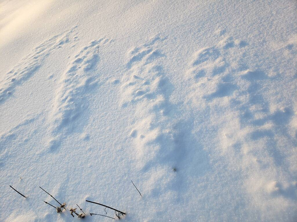 Świeże pokrywy śniegu wkrótce po obfitych opadach śniegu w zimie - Zdjęcie, obraz