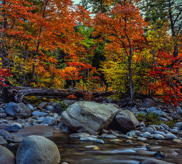 Jesień nad rzeką Swift w New Hampshire - Zdjęcie, obraz