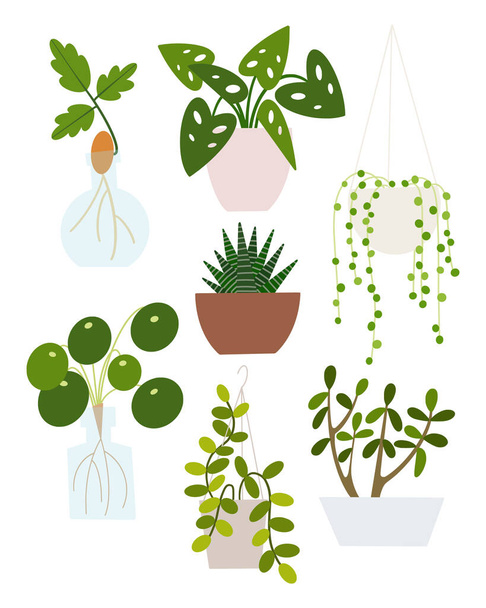 Rostliny v květináčích. Ploché ručně kreslené listoví rostlin pro moderní kancelářské nebo domácí dekorace. - Vektor, obrázek