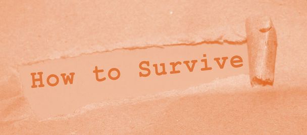 How to survive words written under torn paper. Surviving in crisis business concept. - Photo, Image