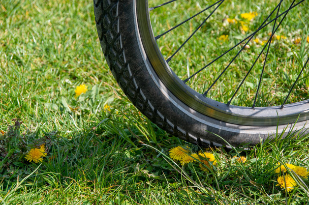 Koło rowerowe na trawie - Zdjęcie, obraz