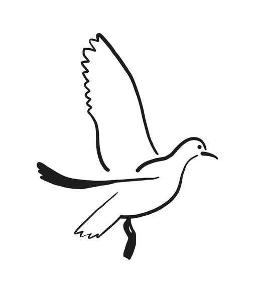 Pássaro voador, contorno simples, ilustração estilizada, vetor - Vetor, Imagem