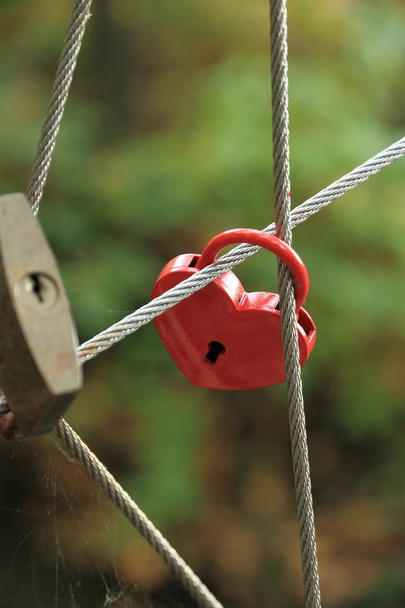 Red Lock in heart shape on rope bridge - Foto, Imagem