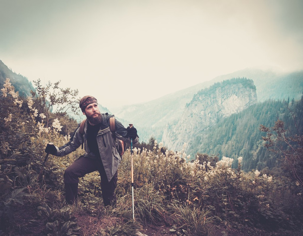 Mann mit Wanderausrüstung im Bergwald unterwegs - Foto, Bild