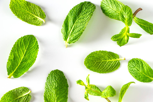 Set di foglie di menta piperita verde isolate su fondo bianco. Menta aromatica fresca per cucinare cibi e bevande - Foto, immagini