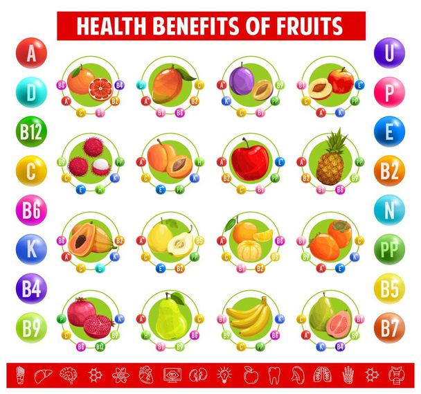 A gyümölcsökben lévő vitaminok és ásványi anyagok táblázatos tartalma. Vektor grapefruit, mangó, szilva és őszibarack, rambutan, sárgabarack és alma vagy ananász. Papaya, körte és mandarin gránátalmával, guavával és banánnal - Vektor, kép