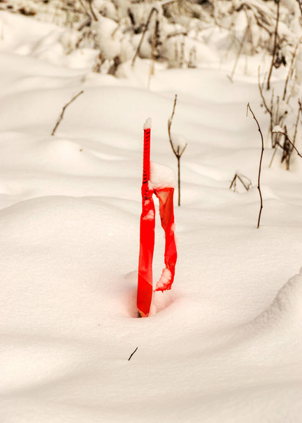 hagyományos téli táj havas fák, ágak pirossal jelölve, a varázslat a fehér tél - Fotó, kép