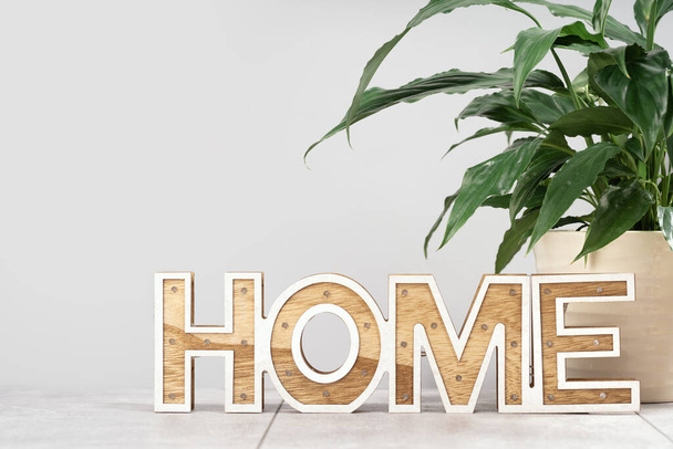 Home sign on the desk with a plant - Φωτογραφία, εικόνα