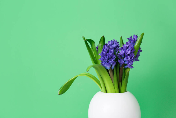 緑の背景に美しい花の花瓶 - 写真・画像
