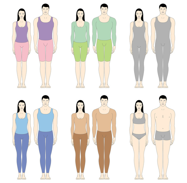 Male and female bodies - Vettoriali, immagini