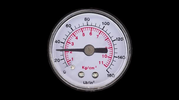 manomètre pour mesurer la pression de liquide et de gaz - Séquence, vidéo