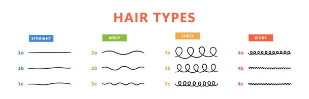 Klasifikace typů vlasů - rovné, vlnité, kudrnaté, perverzní. Schéma různých typů vlasů. Metoda kudrnaté dívky. Vektorová ilustrace na bílém pozadí - Vektor, obrázek
