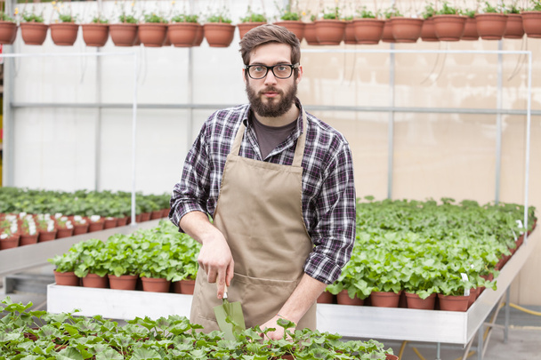Young florist  in greenhouse - Photo, Image
