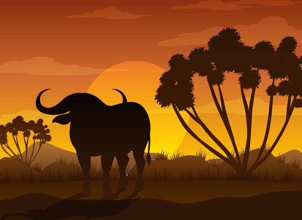 Buffalo sziluett a szavanna erdő illusztráció - Vektor, kép