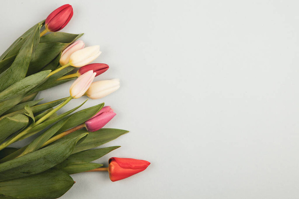 Banner con ramo de tulipanes en colores rosa y blanco. Concepto de primavera, Día de la Mujer, Día de la Madre, 8 de marzo, los saludos festivos - Foto, imagen