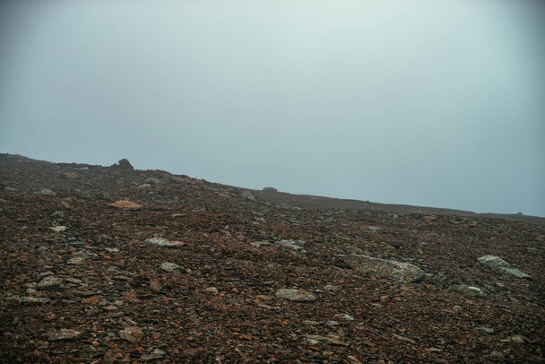Каменное поле в густом тумане в высокогорье. Пустая каменная пустыня в густом тумане. Никакой видимости в горах. Минималистский природный фон. Тёмный атмосферный туманный горный ландшафт. Лишайники на острых камнях. - Фото, изображение