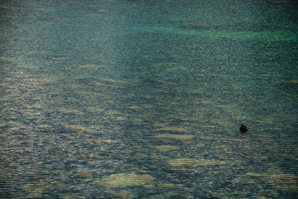 山の湖の瞑想的なリップル。太陽の下で氷河湖のターコイズブルーの透明な水で石の底の美しいリラックスした背景。緑の澄んだ水に多くの石と日当たりの良い背景. - 写真・画像