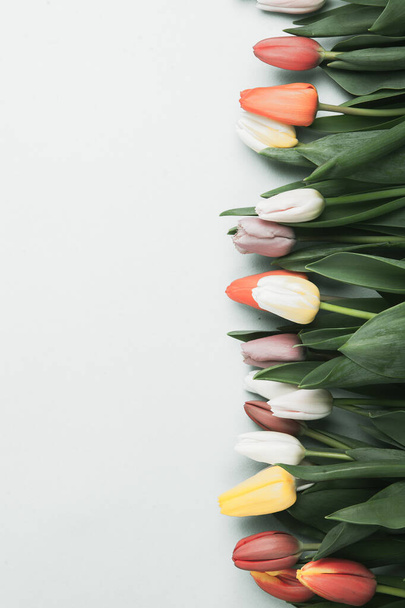 Баннер с букетом тюльпанов розового и белого цветов. Концепция весны, Женский день, День матери, 8 марта, праздничные поздравления - Фото, изображение